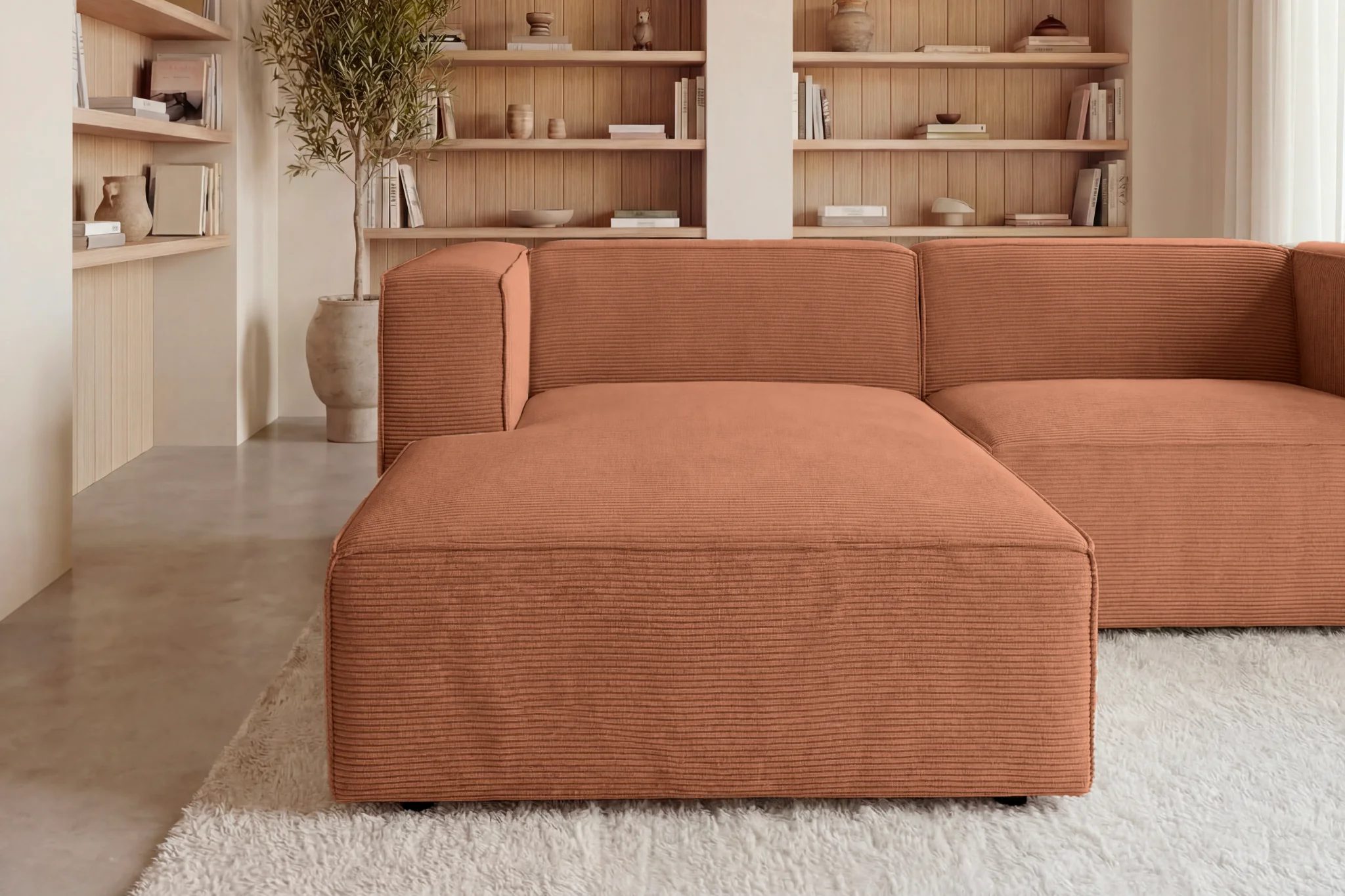 BASIL ANGLE - Mini velours côtelé - Image 60
