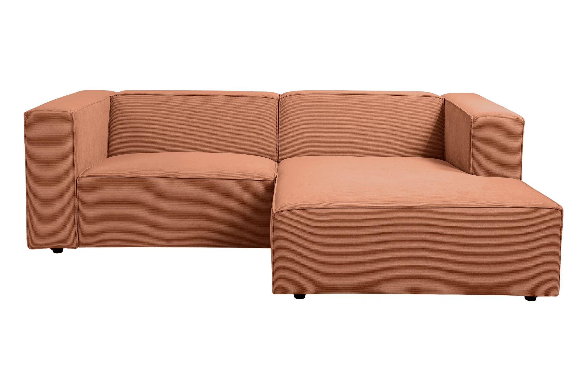 BASIL ANGLE - Mini velours côtelé - Image 62